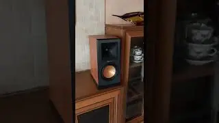 Yamaha A-S301 и Klipsch RP-160M