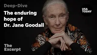 The enduring hope of Dr. Jane Goodall | The Excerpt