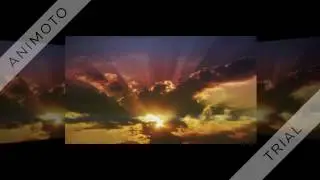 Buy Ed Reverser Review Discount Download Scam Bonus Program 360p