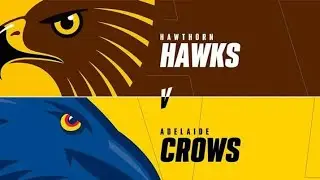 R6 hawthorn coach afl evolution 2