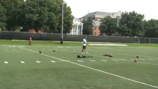 Onside kicks Nick Novak