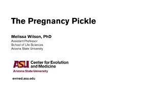 The Pregnancy Pickle: Melissa Wilson