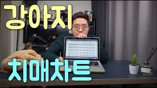 강아지 치매차트를 통해서 인지장애증후군 초기증상(현상), 예방법 같이 알아봐요! Dog dementia, Canine Cognitive Dysfunction Syndrome