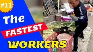 Fast Workers 2021 💥 Amazing Skills 💥 Fastest Workers Compilation  | WONDERWORX