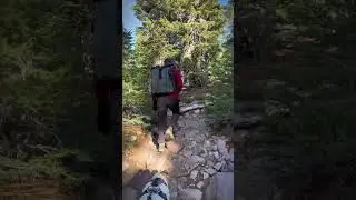 Must-do NorCal hike‼️