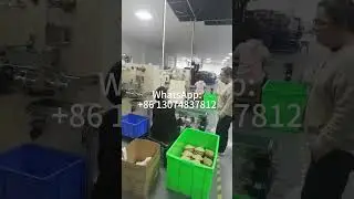 Automatic coffee filter bag making machine line #machine #coffee #coffeefilter #coffeefiltermachine
