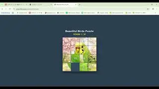 beautiful birds puzzle