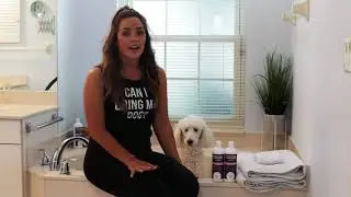 BEST Medicated & Antifungal Shampoo For Dogs