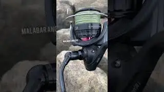 daiwa reel bg daiwa rod phantomsnaper #fishing #villagefishing #malabaranglers