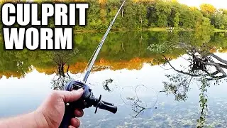 Bass Fishing With Culprit Worms - Texas Rig Worms Catch Summer Bass!