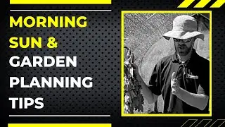 Morning Sun, Garden Planning Tips, Planting Tips & Summer Solstice 6/1/22