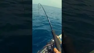 El Microjigging no defrauda 🎣 #microjigging #jigging #kayakfishing #majorcraft #graphiteleader