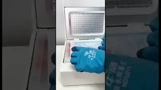 3D phone case print machine Mobile Phone Case Printer Heat transfer machine Film printing machine