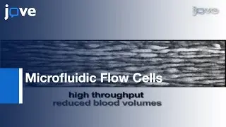 Platelet Adhesion & Aggregation Under Flow By Microfluidic Flow Cells l Protocol Preview