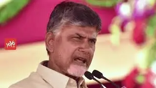 Naidu Not Satisfied With Nandyal, Kakinada Election Results? | YOYO Times