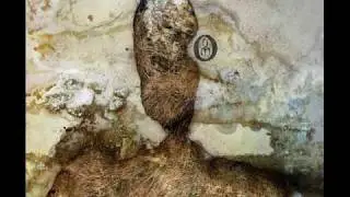 Negură Bunget - Norilor