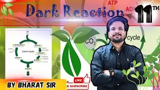 Dark Reactions | Class11| Photosynthesis in higher Plants| Part- 12 | By Bharat Sir #neet #biology 