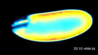PNAS : Calcium waves occur as Drosophila oocytes activate