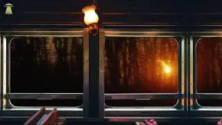 Cozy Train AMBIENCE -  Relaxing train journey at sunset