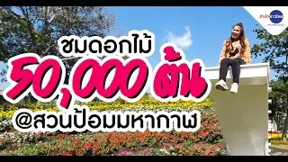 พาชมดอกไม้กว่า 5 หมื่นต้นที่ 
