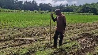 GENIUS FARMER CREATES SUPER EASY PLANTING HOLES WITH THIS COOL TOOL! - Agriculture Farming