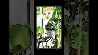 Just have to STOP letting them CONTROL YOU. #shorts #vlog Keep going 🧭🌿🍃