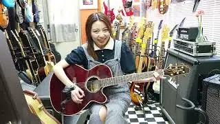 Takamine  DMP-551C / WR   2020年製