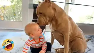 Dog Protect Owners  #baby #dogvideos