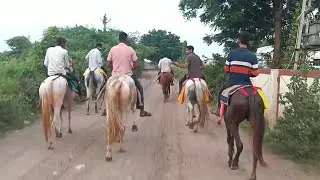 આજે એક સાથે છ(૬) ઘોડિયું ને આટો મારવા લય ગયા❤️🐎