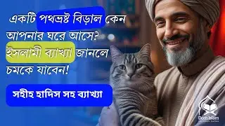 একটি পথভ্রষ্ট বিড়াল কেন আপনার ঘরে আসে? | ইসলাম কি বলে | Islamic Waz | #banglawaz #waz #newwaz #cat