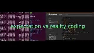 developer expectation vs reality #shorts