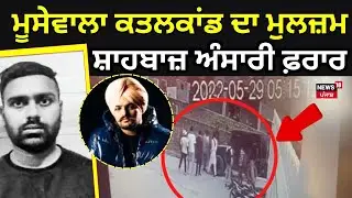 LIVE Sidhu Moosewala News | ਮੂਸੇਵਾਲਾ ਕਤਲਕਾਂਡ ਦਾ ਮੁਲਜ਼ਮ Shahbaz Ansari ਫ਼ਰਾਰ | News18 Punjab