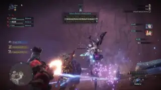 Monster hunter world hunter king coin?