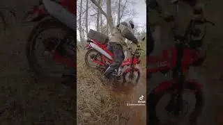 Trying to Cross a Creek on the Honda Trail 125 Motorcycle #shorts