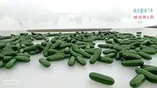 💊