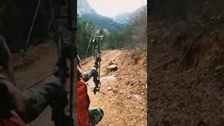 Эпическая охота с луком на большом расстоянии