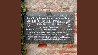 Tr&auml;umend sah vom Schlossberg nieder (feat. Gerold Walzel)