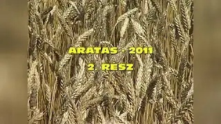 Aratás 2011