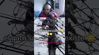 Lo que hace la inteligencia jaja #shortvideo