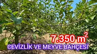7.350 M² YETİŞKŞİN CEVİZ VE ÇOK ÇEŞİT MEYVEDEN OLUŞAN MEYVE BAHÇESİ- MANYAS ŞEVKETİYE