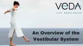 An Overview of the Vestibular System