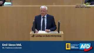 Grüne etikettieren mit „Rassismus“ ihre Lebenslügen!