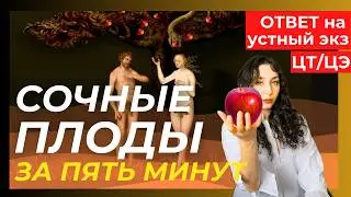 УСТНЫЙ ЭКЗАМЕН - СУХИЕ ПЛОДЫ, ВОПРОС 18