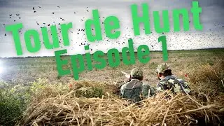 Pigeon hunting - Tour de Hunt 2020 Norway: Episode 1