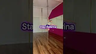 Try this beautiful transition from Stag to Ballerina Pole Spin #pdballerina #spinningpole #shorts