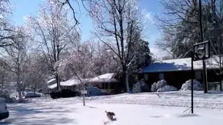video-2012-12-26 deeg in snow