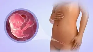 HOW TO REVERSE INFERTILITY AND GET PREGNANT NATURALLY IN 60 DAYS- TIPS SECRETS INFO & FACTS