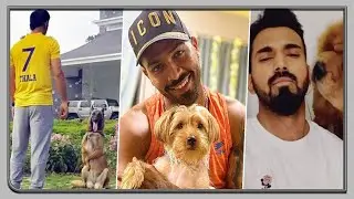Indian cricketers share adorable videos with pets