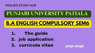 B.A ENGLISH COMPULSORY SEM6|| SUMMARY OF NOVEL , APPLICATION, C.V