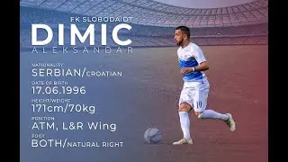 Aleksandar Dimic  highlights